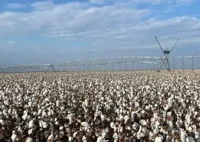 Estados Unidos aplicam nova tarifa de 12,5% sobre produtos brasileiros; veja quais foram isentos