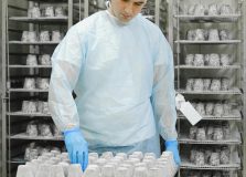 Indústria alimentícia é o setor que mais emprega no Brasil