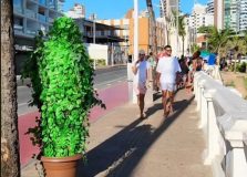 “Homem-Planta” assusta soteropolitanos em pegadinha e viraliza nas redes