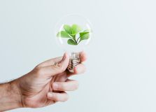 Questões ambientais são tema de nova edição do Interculte em Salvador