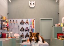 Zee.Dog inaugura segunda loja em Salvador