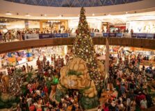 Shopping Paralela estreia temporada natalina com cenário da Disney e ação solidária