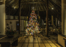 Resort em Praia do Forte apresenta Árvore de Natal sustentável