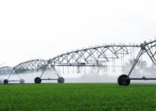 Oeste Baiano lidera irrigação por pivôs centrais no Brasil
