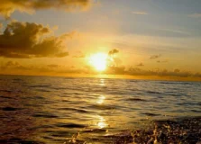 2024 foi o ano mais quente em 175 anos, segundo ONU