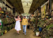 Especiarias de Salvador são destaque no programa “Da Manga Rosa”