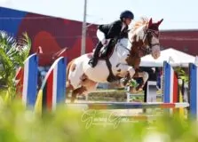 Beatriz Garcez é destaque em circuito Norte-Nordeste de hipismo
