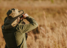 Pousada Trijunção promove imersão em fotografia de natureza no Cerrado