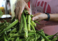 Bahia é destaque em ranking nacional sobre controle de agrotóxicos em alimentos