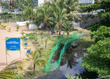 Praia da Paciência recebe nova etapa do projeto ambiental Praia Verde