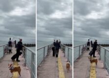 Ney Matogrosso já está em Salvador para shows na Concha Acústica