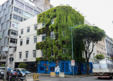 Secis renova fachada com projeto de melhoria do jardim vertical