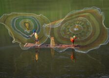 Shopping Barra recebe mostra internacional de fotografia com obras premiadas