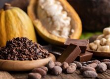 Chocolate é destaque na nova edição do Festival Sabores de Itacaré