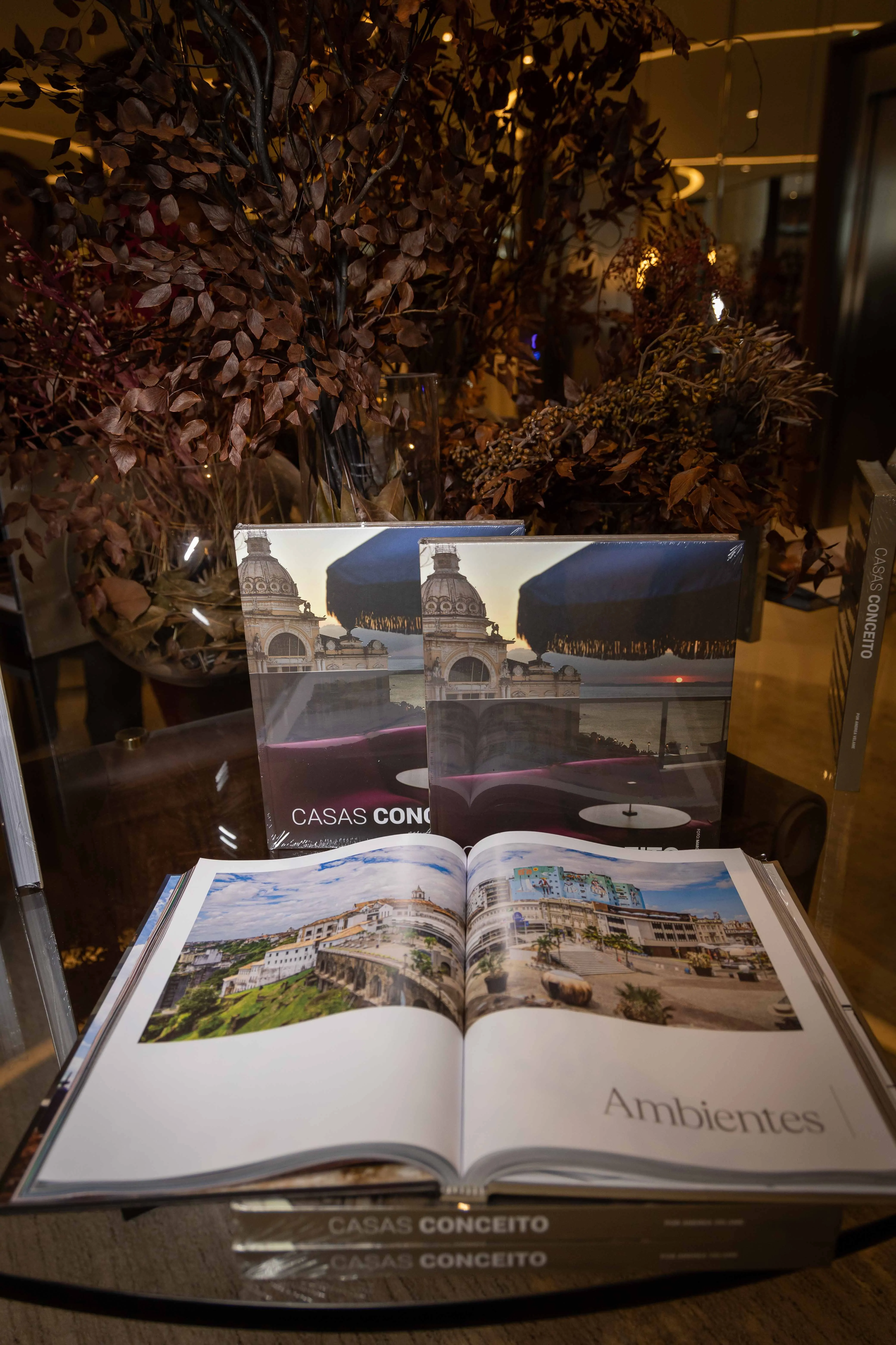 Livro da VII Casas Conceito