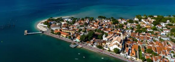 Ilha de Itaparica ganha primeiro viveiro de mangue destinado à recuperação ambiental