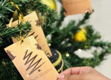 Árvore dos Sonhos inicia nova edição no Shopping Barra