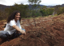 Coletivo Junko inaugura espaço de cultura e ecologia na Chapada Diamantina