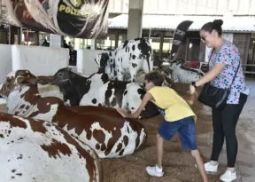 Fenagro 2025 inicia nesse fim de semana com presença do governador Jerônimo Rodrigues. Confira!