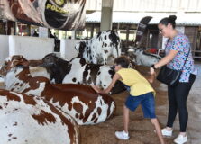 Fenagro 2025 reunirá inovação, negócios, shows em Salvador