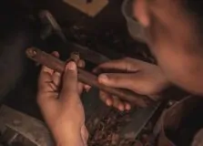 Tabaco e charutos originais do Recôncavo Baiano vão ganhar selo de autenticidade
