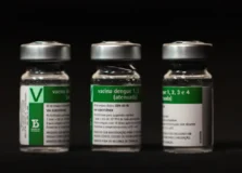 Vacina contra dengue do Butantan começa a ser aplicada ainda esse mês. Entenda!