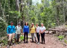 Inema amplia ações de conservação da flora e integração entre ciência e natureza na Bahia