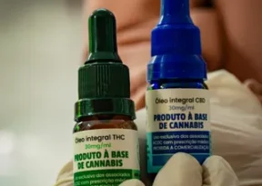 Chapada Diamantina conquista direito ao cultivo de Cannabis medicinal