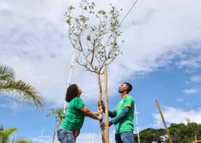Salvador é destaque em programa internacional por desenvolvimento ambiental