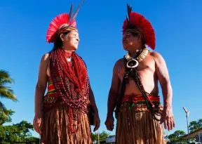 Abril Indígena: MAC é ocupado por artesanato e exposição artística valorizando os povos originários