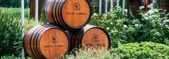 Bistrot Trapiche Adega recebe jantar harmonizado com rótulos da Vinícola Miguel Torres