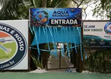 Aqua Salvador abre as portas no Parque das Dunas com foco em educação ambiental