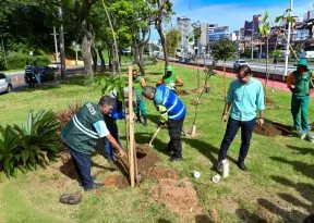 Salvador inicia plantio de mudas de árvores com espécies nativas da Mata Atlântica