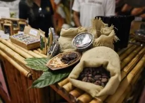 Chocolat Bahia vai movimentar a cadeia produtiva do cacau com edição em Ilhéus