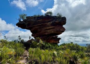 Chapada Diamantina ganha nova área destinada à proteção de vida silvestre