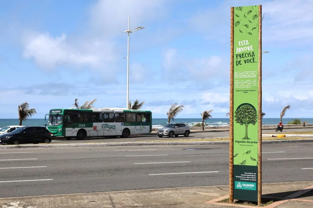 Corredor Verde da Pituba