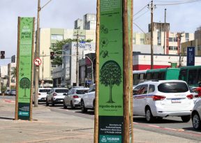 Corredor Verde na Pituba tem árvores avaliadas e recebe ações de recuperação