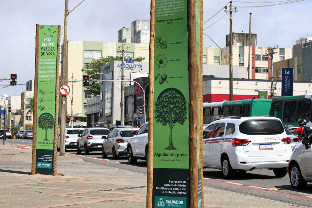 Corredor Verde da Pituba