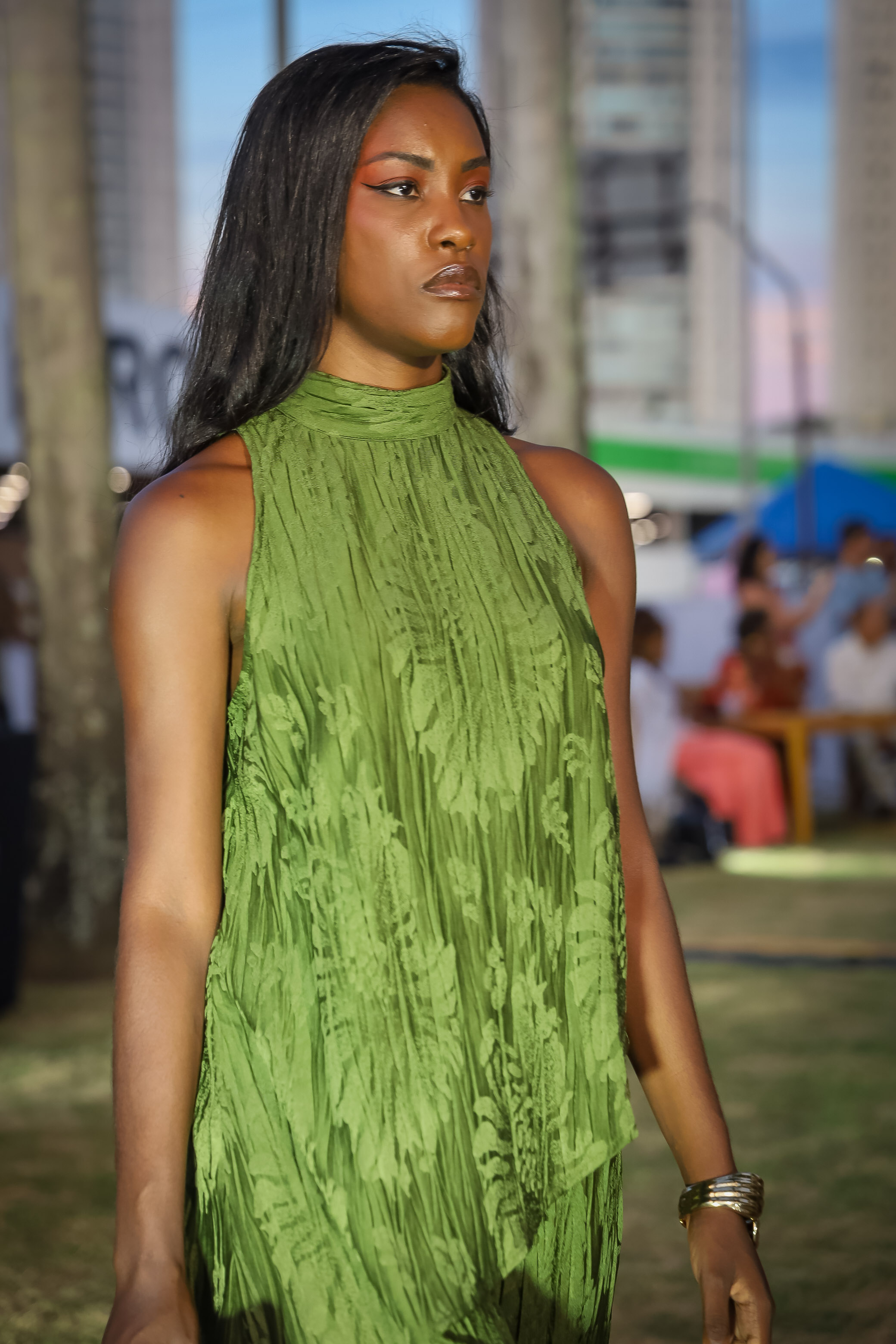 Desfile 