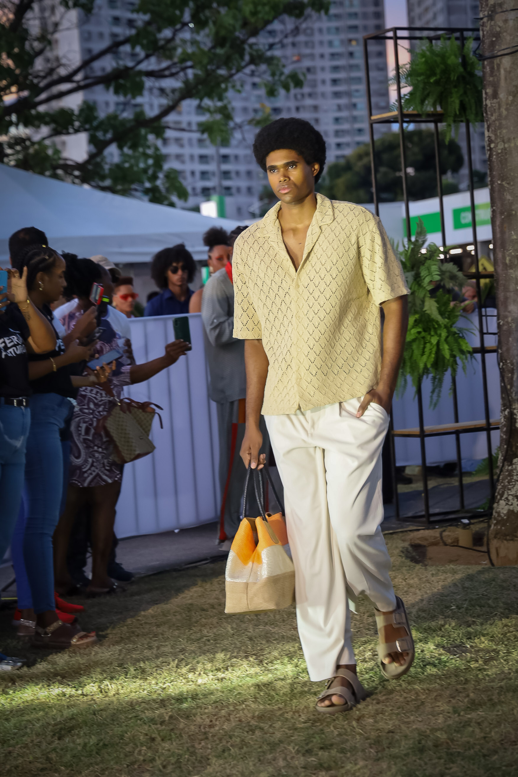 Desfile 