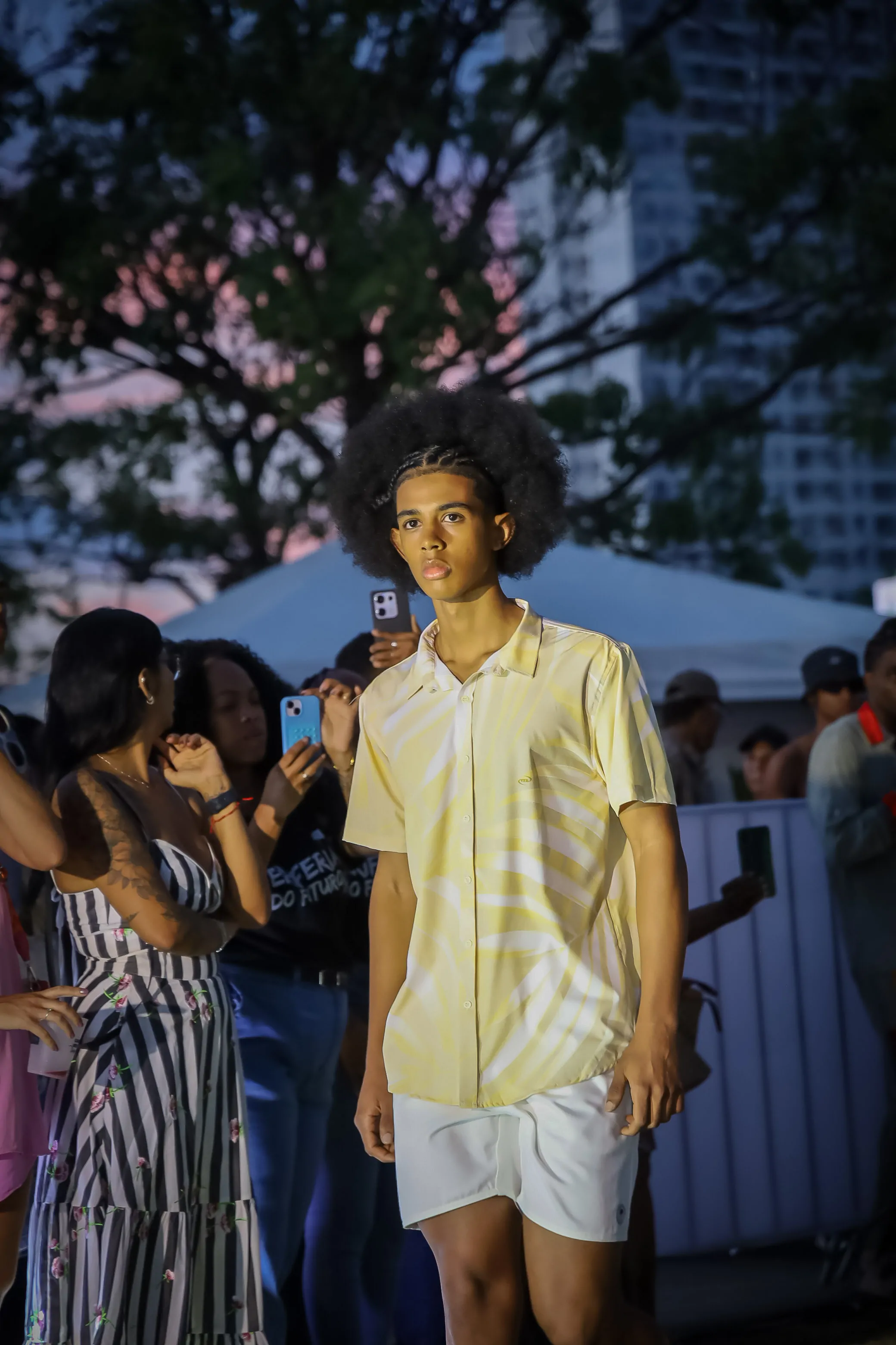 Desfile 