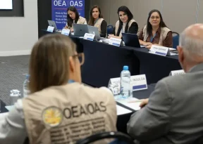 OEA avalia eleição brasileira e chama atenção para desafios no ambiente digital